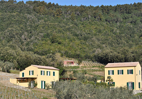 Cantina Vale di Lazzaro - produzione vino bianco e rosso all'isola d'Elba